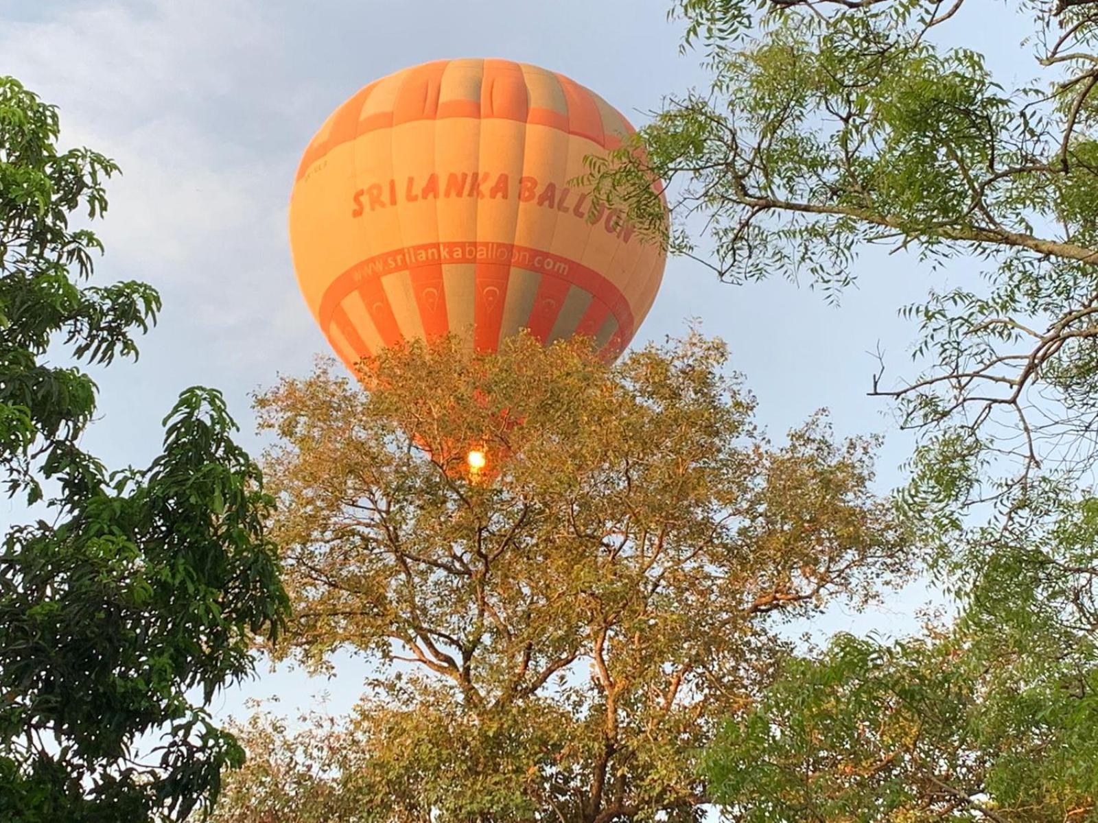 Eden Grand Hotel Dambulla Exterior foto